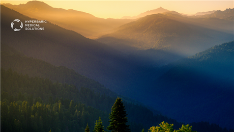 Banner Picture